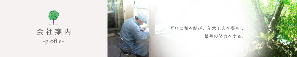 会社案内
